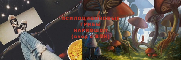 прущие грибы Волоколамск