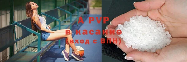 прущие грибы Волоколамск