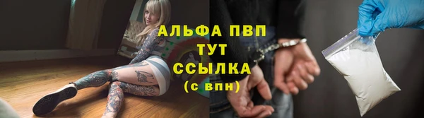 прущие грибы Волоколамск