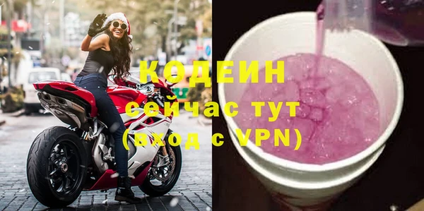 прущие грибы Волоколамск