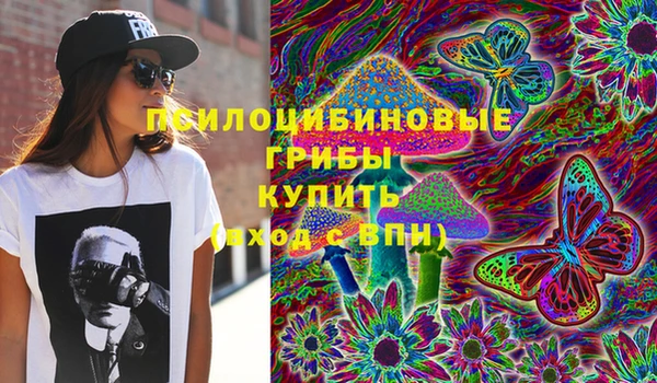 a pvp Володарск