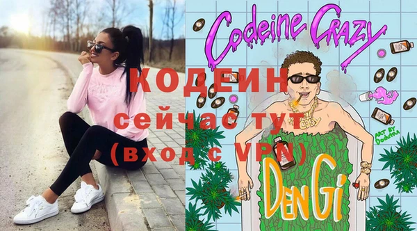прущие грибы Волоколамск