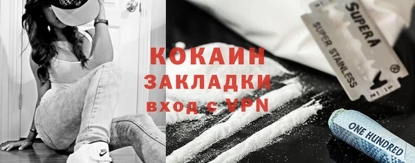 прущие грибы Волоколамск
