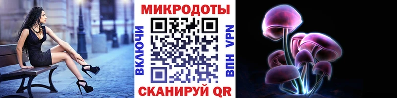Купить где  Каменногорск  Псилоцибиновые грибы GOLDEN TEACHER 