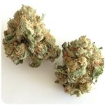 Шишки "White Widow"  (Белая вдова)  Гидропоника -  Бошка VHQ в Каменногорске